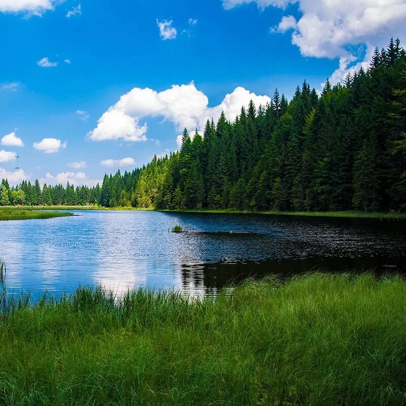 Озёра для купания