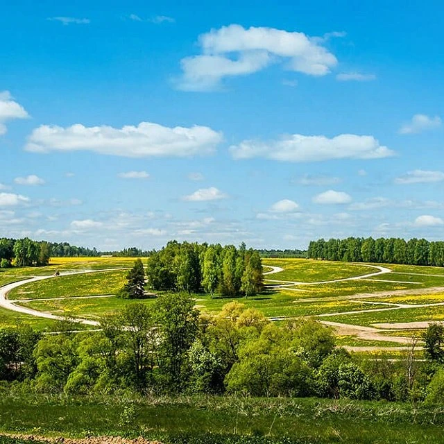 Shelkovo Forest