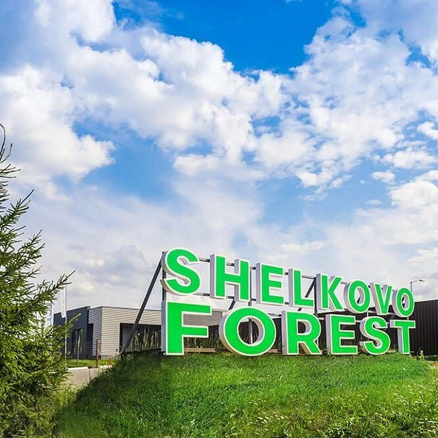 Shelkovo Forest