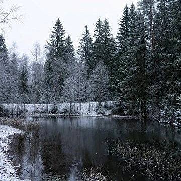 Shelkovo River