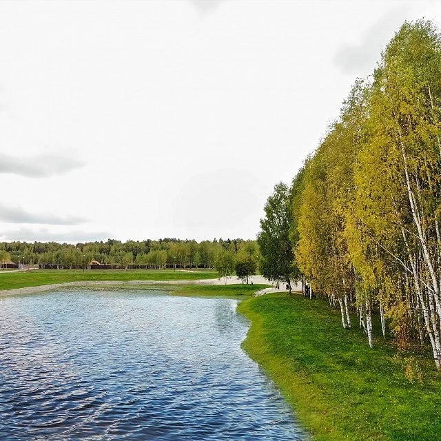 Green Forest Club