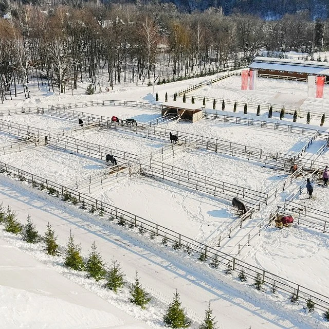 White Park