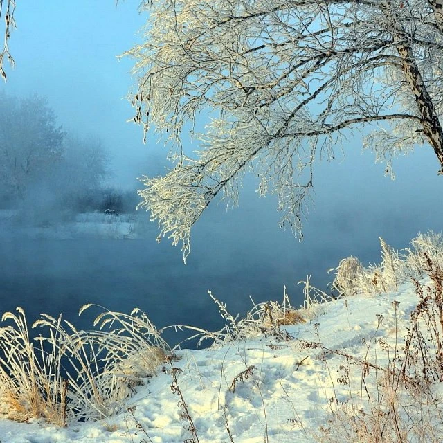 White Park
