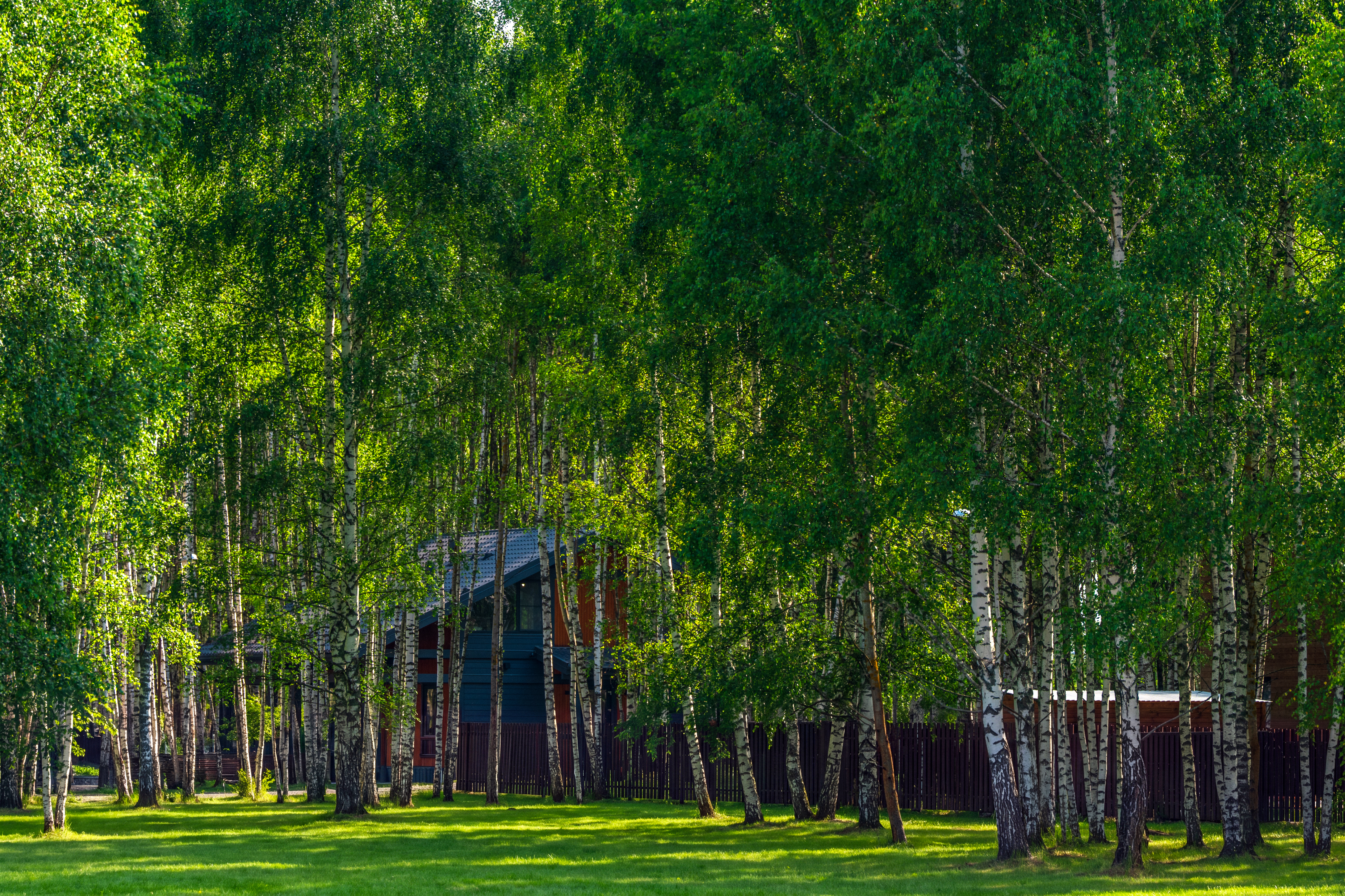 Участок V54-5