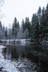 КП «Shelkovo River, миниатюра слайда 5»