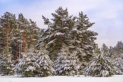КП «Shelkovo River, миниатюра слайда 7»