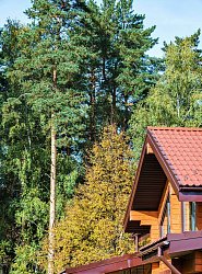 КП «Shelkovo Forest, миниатюра слайда 2»