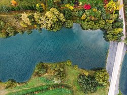 КП «Green Forest Club, миниатюра слайда 4»