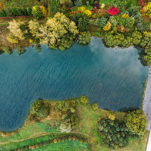 КП «Green Forest Club, слайд 4»