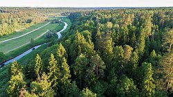 КП «River Wood, миниатюра слайда 2»