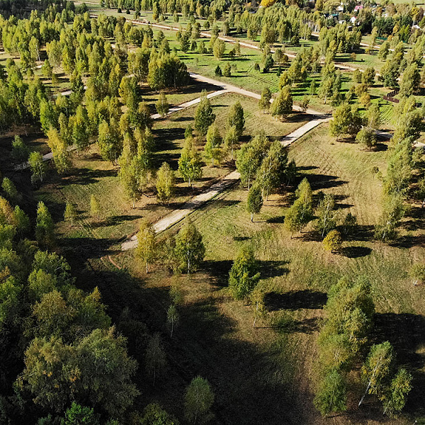 КП «Green Forest Park, слайд 4»