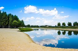 КП «Green Forest Club, миниатюра слайда 3»