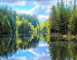 КП «River Wood, миниатюра слайда 1»