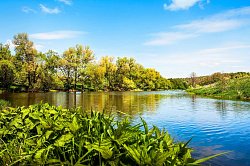 КП «Shelkovo River, миниатюра слайда 1»