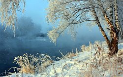 КП «White Park, миниатюра слайда 5»