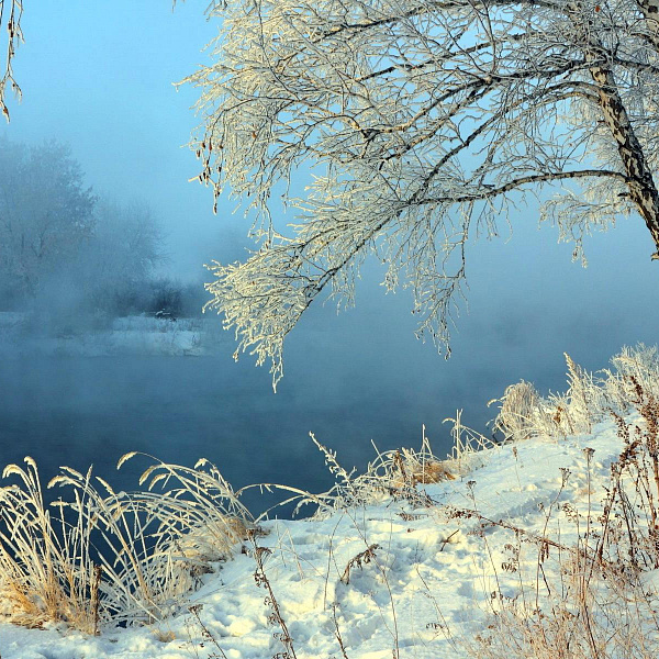 КП «White Park, слайд 5»