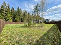 RW N8 — 10 сот., миниатюра фото 1