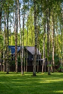 SV F50 — 11 сот., миниатюра фото 4