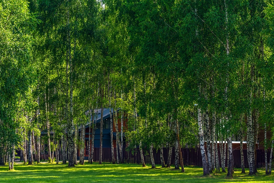 SR K56 — 10 сот., фото 6